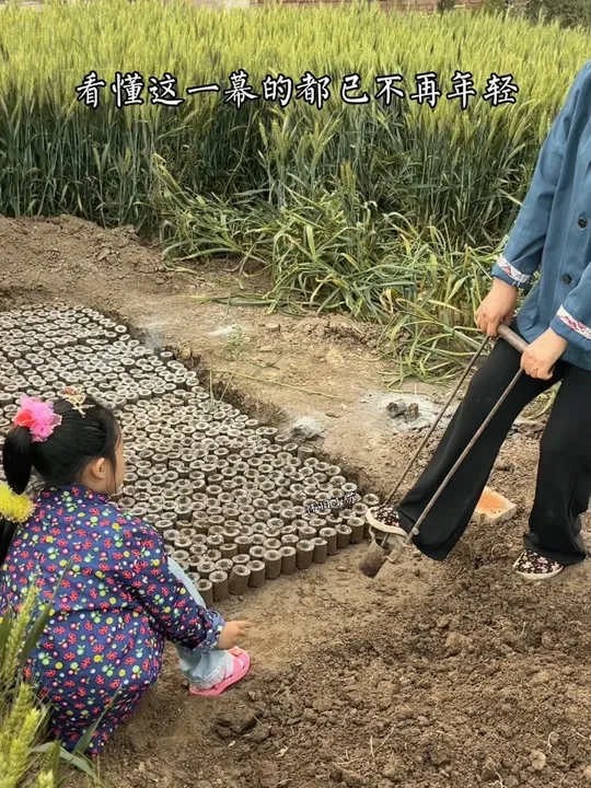 Full of memories, making nutrient pots, connecting nutrient pots, cultivating cotton seedlings, watermelon seedlings, those who have experienced it are no longer young