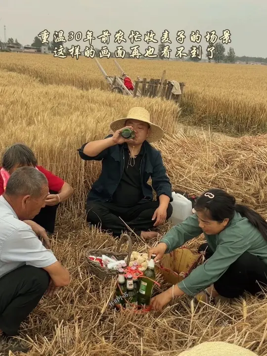 Childhood wheat harvest break: helping family harvest wheat, playing in the yard, delivering water to the fields, picking wheat ears, eating for 10 cents
