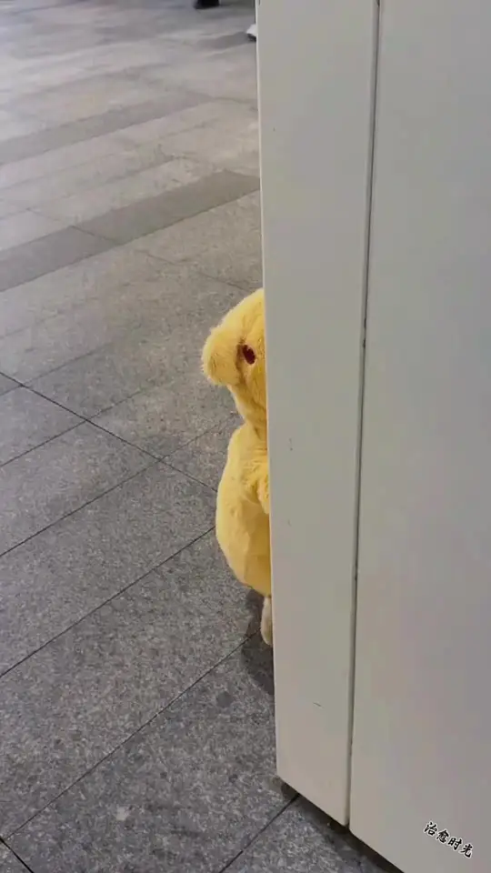 生活能治愈的是愿意好起来的人